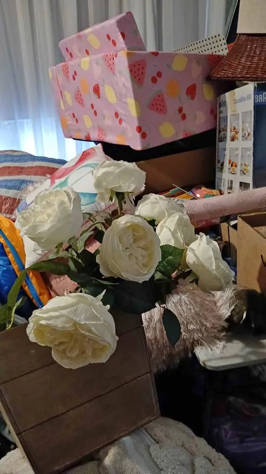Garage sale in Colyton NSW: plants, jewellery and model racing cars