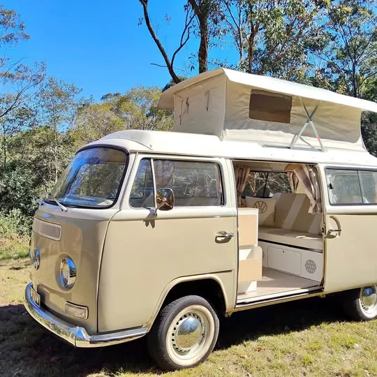 Garage sale in Beerwah QLD: caravan accessories, kayak, generator and plants